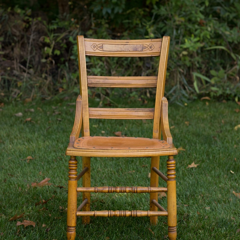 Monstera Deliciosa Plant